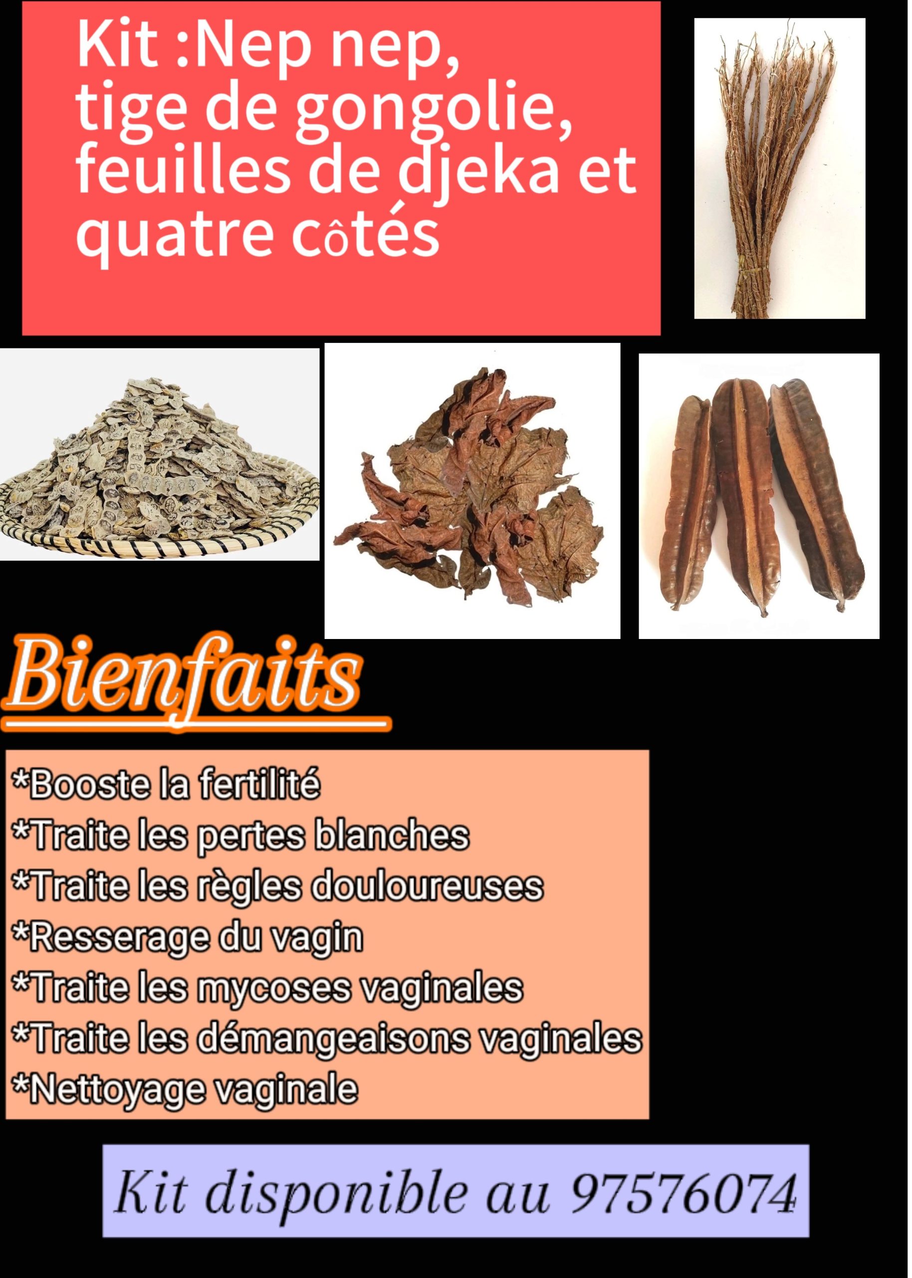 Eclat naturel - Gongoli, nep nep, fruit 4cotés, feuille