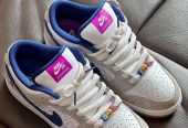 NIKE DUNK LOW SB x RAYSSA