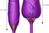 Sextoy vibrant vagin